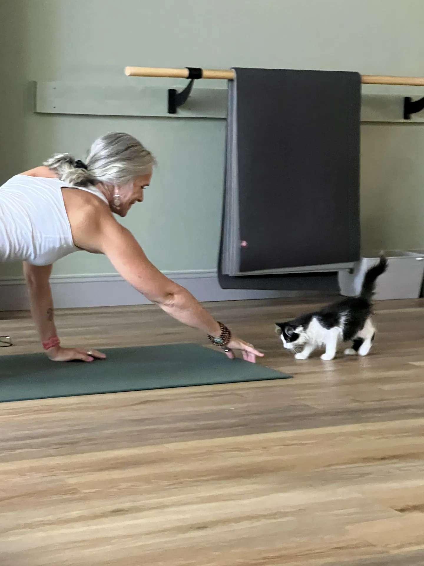 Jill in plank pose as a kitten wanders across the mat.