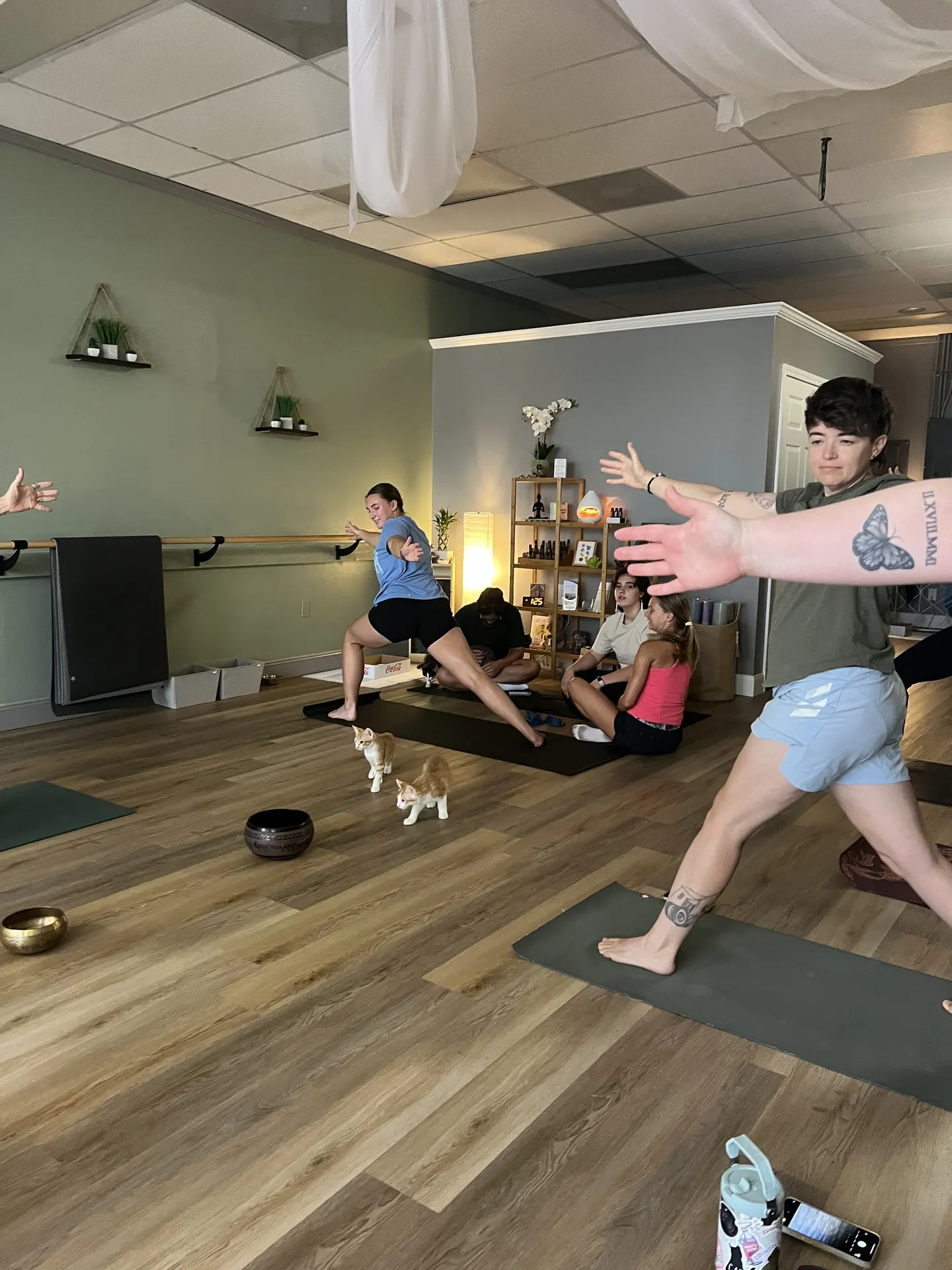 Kitten yoga: students on their mats with adoptable kittens exploring the room.