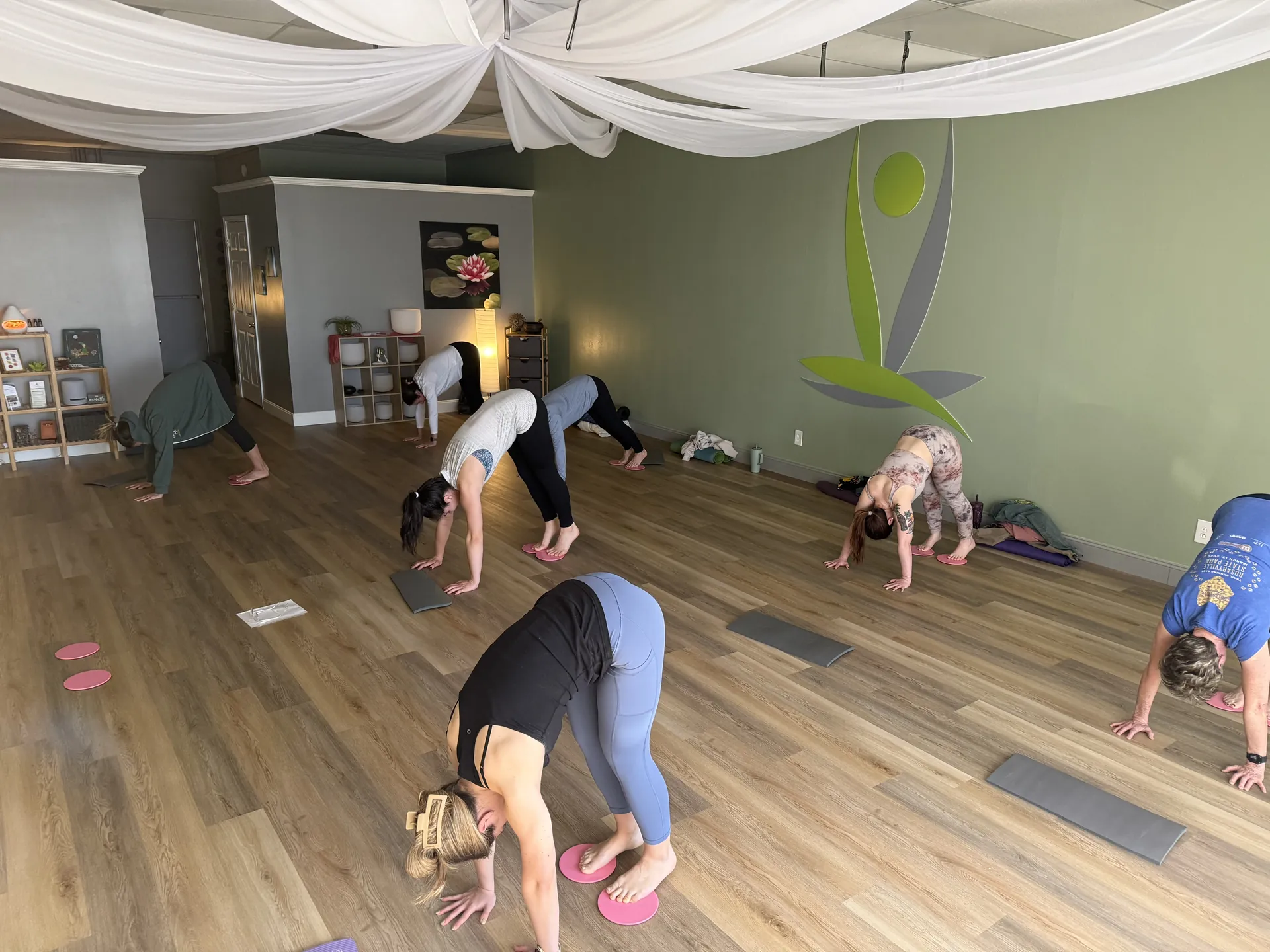 Downward dog across the room during a morning class beneath the draped ceiling.
