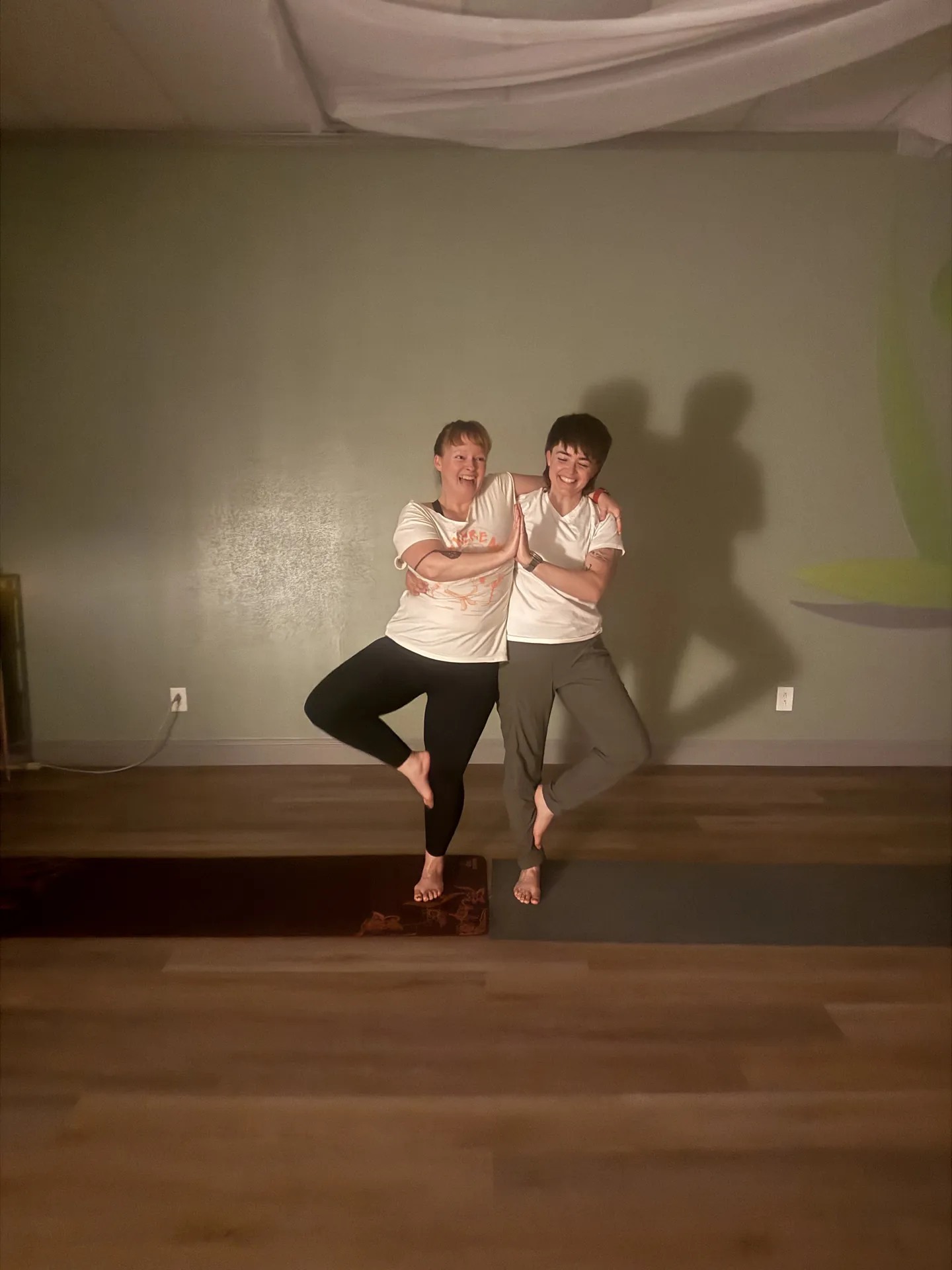 Two friends balancing together in partner tree pose.